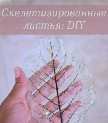 Как сделать скелет листа