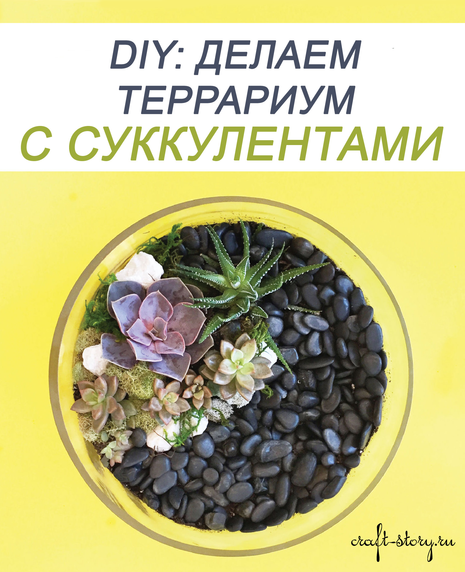 Мастер-класс: террариум с суккулентами